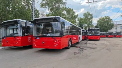 Самые красивые автобусы советских дорог