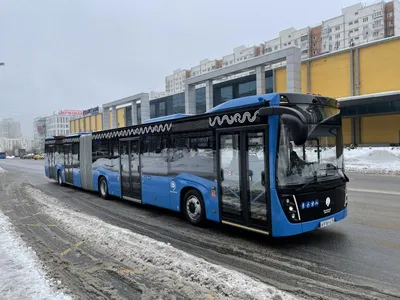 PRO Транспорт» Владимир News - Во Владимир прибыла первая партия новых  автобусов