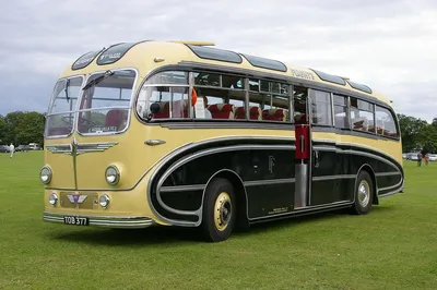 Автобусы эпохи красивых вещей. | Пикабу