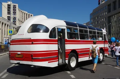 Красивые автобусы для Мальты — Kolesa.kz || Почитать