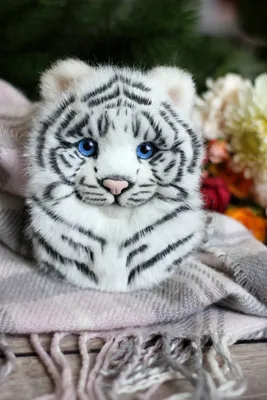 Морды Белого Тигра — стоковые фотографии и другие картинки Белый тигр - Белый  тигр, Азия, Альбинос - iStock
