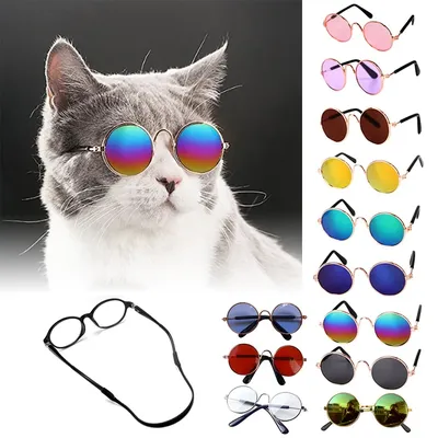 Очки для кошек, крутые солнцезащитные очки для маленьких собак, забавные  очки, очки для домашних животных, R4R8 – лучшие товары в онлайн-магазине  Джум Гик