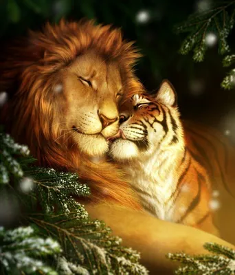 Красивые фото львов и тигров 