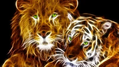 Этот Тигр, способен победить любого Льва. | Будни Странника | Дзен