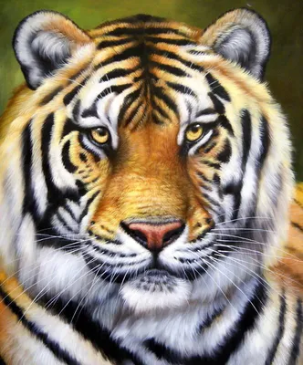 Влюбленные тигры арт - 72 фото