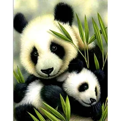 Набор ДТ Алмазная мозаика Милые панды 30*40см AC34043 купить оптом по  низкой цене в РЦ «Восток»