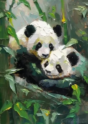 Зоопарк в Чианг Мае: милые панды и множество других животныхOlgatravel.com