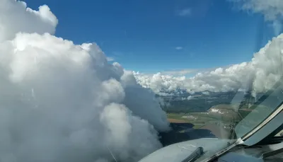 Зеленый A319 в небе. Фото пассажирских самолетов в небе