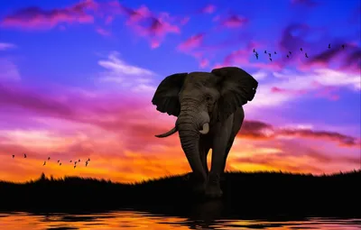 3 шт./компл. милые фигурки слонов, слон держит слоненка, изделия из смолы,  украшения для дома, подарок – лучшие товары в онлайн-магазине Джум Гик