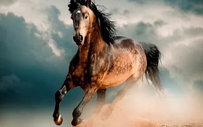Красивые кони бегут по лугу, …» — создано в Шедевруме