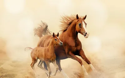 Красивые кони один белый 🤍 другой …» — создано в Шедевруме