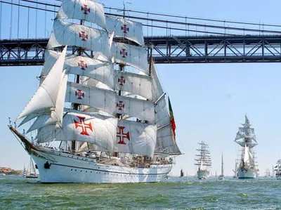 Самый красивый корабль в мире – португальский | Центр языка и культуры  португалоговорящих стран 🇵🇹🇧🇷🇦🇴🇲🇿🇬🇶🇹🇱🇲🇴🇸🇹🇬🇼🇨🇻 | Дзен