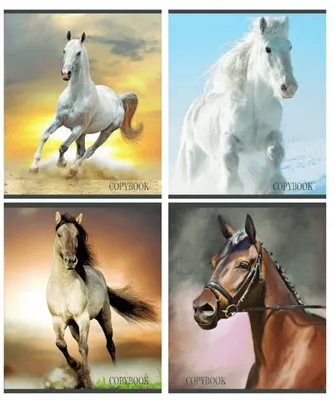 Чародеи, в санях, красивые лошади …» — создано в Шедевруме