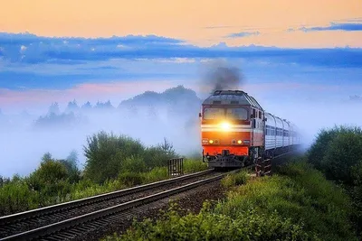Парад в подземке. Самые красивые поезда московского метро | Forbes.ru