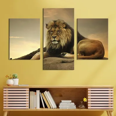 Обои красивый лев - 58 фото