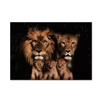 Lion Ink Свирепый лев Ручная роспись хурмы Красивый лев PNG , король лев,  мультяшного льва, лев иллюстрация PNG картинки и пнг PSD рисунок для  бесплатной загрузки