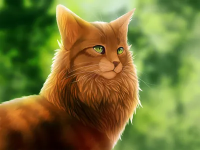 Найден красивый рыжий кот | Пикабу