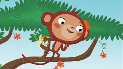 Почему у обезьян красные ягодицы?