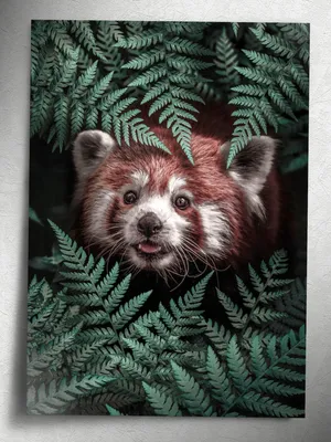 Маленькая милая красная панда держит…» — создано в Шедевруме