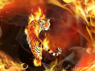 Красный Тигр огонь абстракции» — создано в Шедевруме