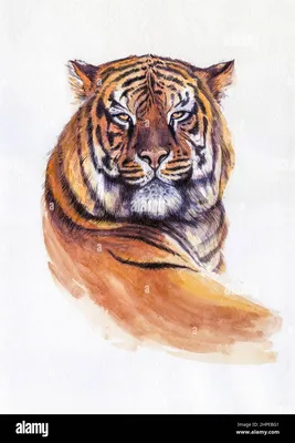 Черно красный тигр арт - 67 фото