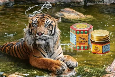 Красный Тигр (Red Tiger) — Зеленый Сад - Уральский плодопитомник