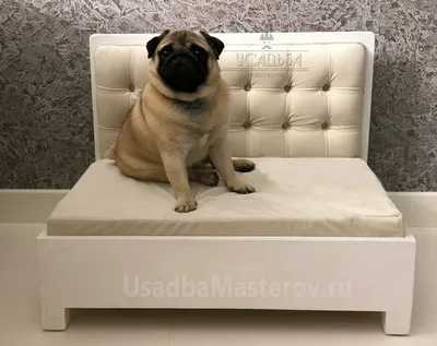 Кровать для собаки или кошки \"Классика\" купить у производителя