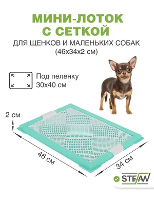 Лоток для собак Зоодружок 60x40см. Замена пеленкам для собак - купить с  доставкой по выгодным ценам в интернет-магазине OZON (547589645)