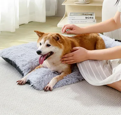 Диванная кровать для собак, ортопедическая Водонепроницаемая моющаяся  ультра мягкая кровать для сна с защитной подкладкой и толстой пеной |  AliExpress