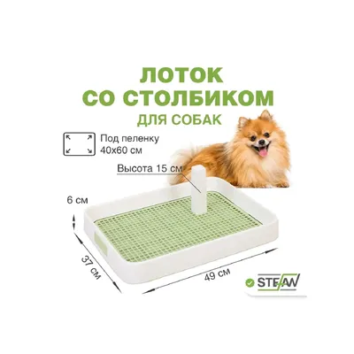 Кровать для домашних животных-с водонепроницаемым матрасом-ортопедическая  кровать для собак-подходит для средних и крупных собак - купить с доставкой  по выгодным ценам в интернет-магазине OZON (1024132902)