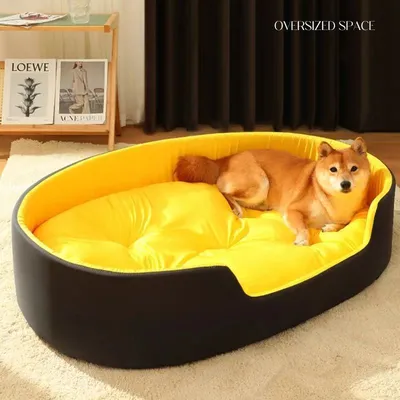 кровать для животных собак и кошек - купить с доставкой по выгодным ценам в  интернет-магазине OZON (1161489653)