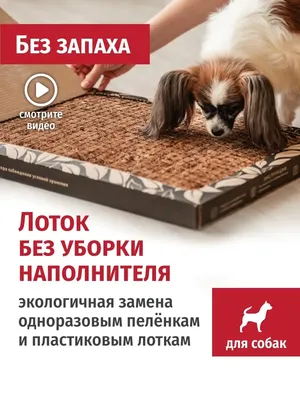 Большая собачья кровать Лежанка для кошек - гамак, для собак и животных  кровать для кемпинга / дома - купить с доставкой по выгодным ценам в  интернет-магазине OZON (1345712848)