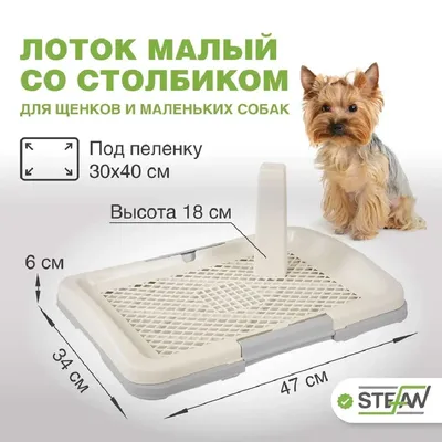 Туалет лоток для собак Stefan со столбиком малый S размер 47х34х6 серый  купить по цене 1446 ₽ с доставкой в Москве и России, отзывы, фото