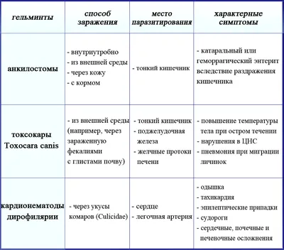 Дронтал плюс для собак 6 таб. в упак. купить по низкой цене с доставкой -  БиоСтайл