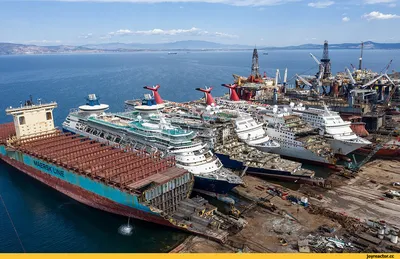 На воду спущен самый большой в мире круизный корабль – гигантский Icon of  The Seas - Новости экономики, Новости в мире, Новости технологий - газета  «Обзор», новости Литвы