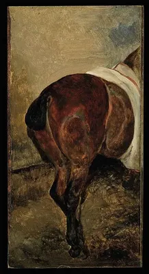 Теодор Жерико - Круп лошади. Этюд, 1813, 14×28 см: Описание произведения |  Артхив