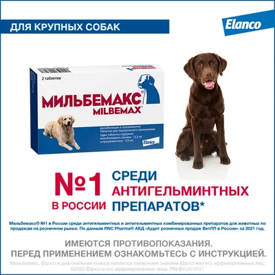 Каша для собак с рисом Гипоаллергенная смесь круп быстроразваривающаяся, 5  кг - купить с доставкой по выгодным ценам в интернет-магазине OZON  (1253983068)