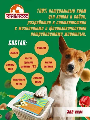 Winner Мираторг MEAT Полнорационный сухой корм для взр собак сред и круп  пород с говядиной 1,1 кг (949650)