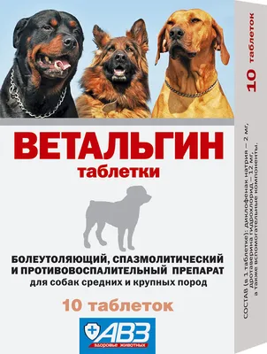 Приютским собакам в Ставрополе нечего есть – вы можете помочь просто сварив  дома кашу