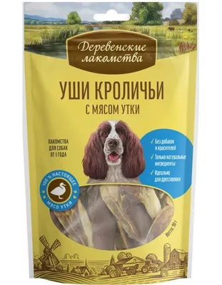 Как готовят собак для охраны союзных границ - Российская газета