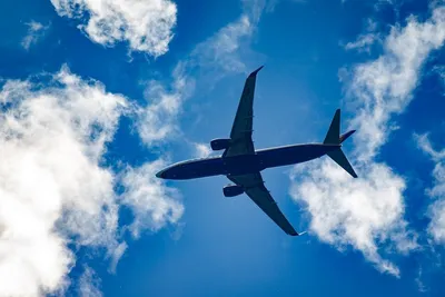 Падение самолета в Ейске: 15 человек погибли, еще 25 — госпитализированы