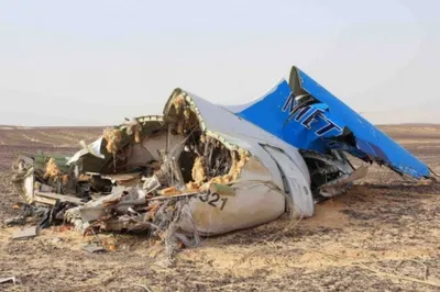 Главный пассажир\" разбившегося в Египте A321 жив\": Хакеры взломали страницу  погибшей в авиакатастрофе пассажирки - KP.RU