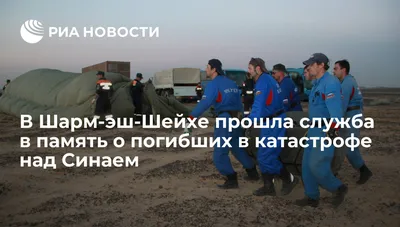 Опубликованы фото всех членов экипажа А-321, погибших при крушении в Египте  — 01.11.2015 — В России на РЕН ТВ