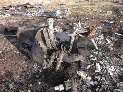 Эхо трагедии: после крушения самолета в Египте ижевчане не отказываются от  путевок - KP.RU