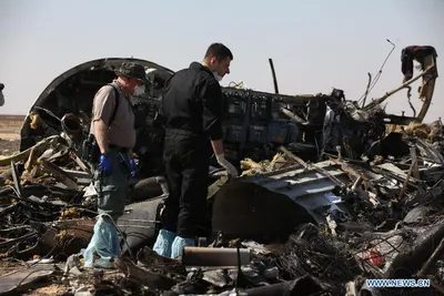В Египте обсудили выплаты за крушение самолета «Когалымавиа»