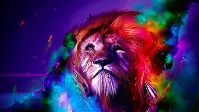 красивое лицо льва на рассвете на юге Африки саванны. это животное -  великий хищник и один из пяти больших Стоковое Фото - изображение  насчитывающей кошачий, волосы: 253236456