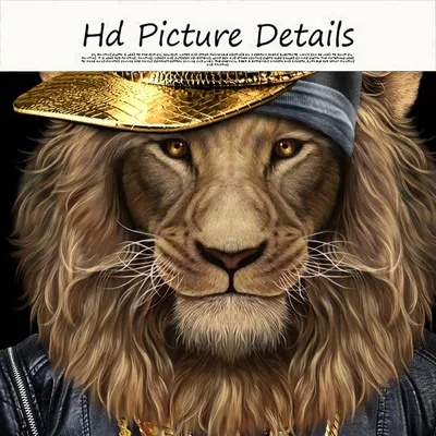 Львы картинки красивые - 71 фото