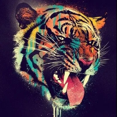 Крутые фото тигра 