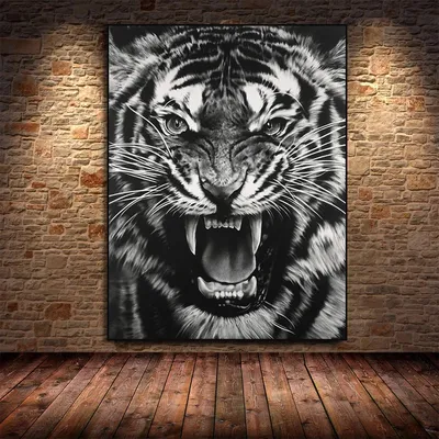 Черно-белые крутые плакаты и принты тигра, современные настенные картины на  холсте, животные тигр, картины для гостиной, домашний декор | AliExpress