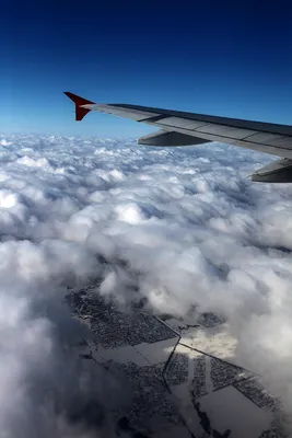 Может ли крыло самолета отломиться в полете? (видео) | Туризм Online | Дзен